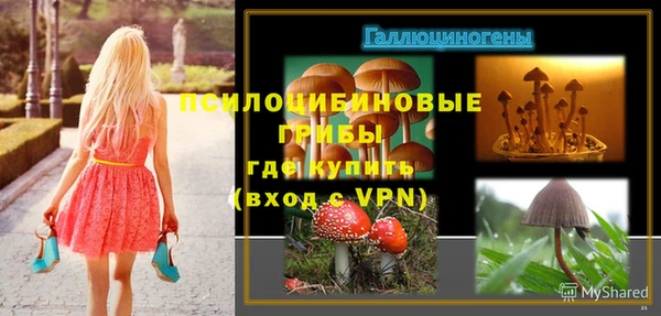 MESCALINE Баксан